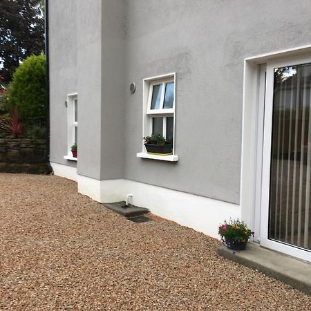 Mod'S Place Nenagh Exterior photo